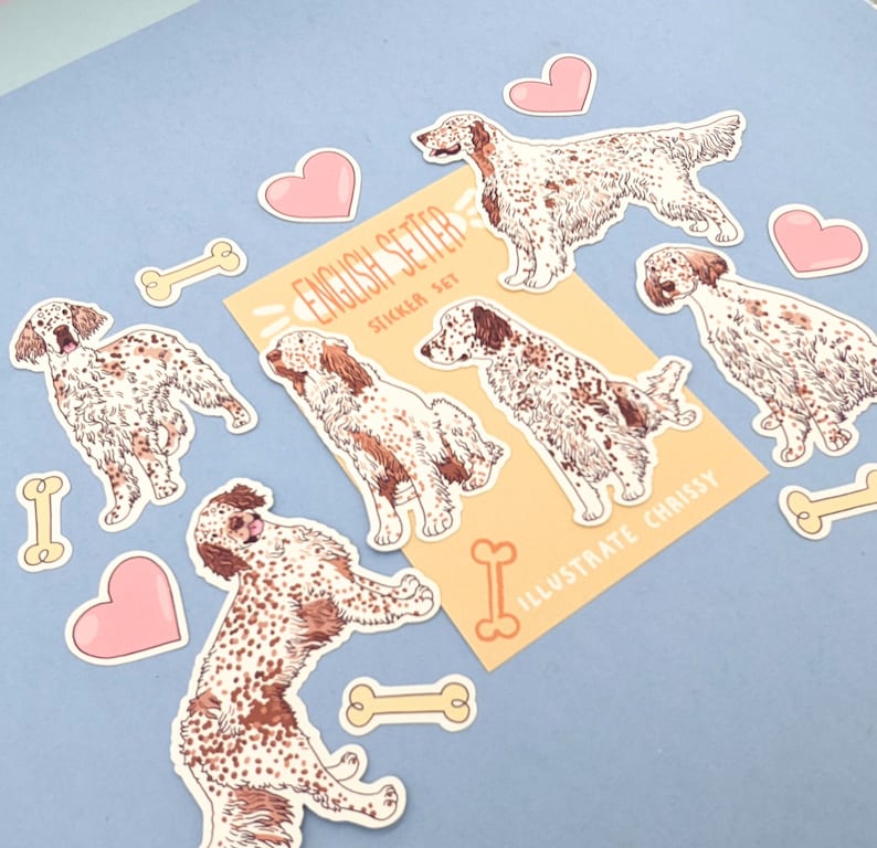 Pu&ograve; includere: Un set di adesivi di cani Setter inglese che mostrano illustrazioni della razza in varie pose. Gli adesivi sono su uno sfondo bianco con uno striscione giallo che recita "English Setter Sticker Set" e "Illustrate Chrissy".