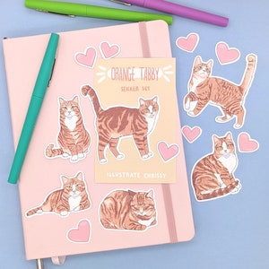 Stickers chat tigré orange et blanc à poils courts - Set d'autocollants chat