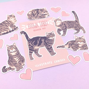Short Hair Brown Tabby Cat Stickers - Waterproof Sticker Set