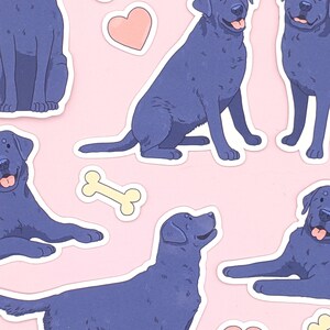 Pu&ograve; includere: Un set di adesivi con Labrador Retriever blu in varie pose, tra cui seduti, sdraiati e in piedi. Gli adesivi includono anche cuori e ossa.