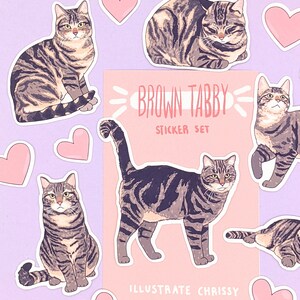 May include: A set of brown tabby cat stickers with pink hearts. The stickers feature different poses of the cat, including sitting, lying down, and standing. The sticker sheet includes the text "Brown Tabby Sticker Set" and "Illustrate Chrissy".