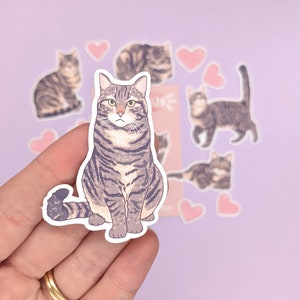 May include: A set of cat stickers featuring a tabby cat in various poses. The stickers are printed on white paper and have a glossy finish.