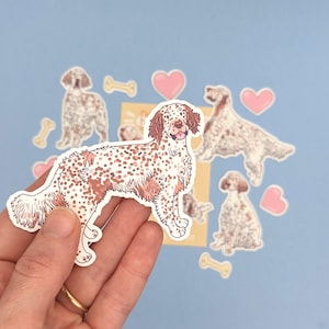 Pu&ograve; includere: Un set di adesivi con illustrazioni di cani Setter inglese in varie pose. Gli adesivi sono stampati su carta bianca e hanno una finitura lucida. Gli adesivi sono perfetti per aggiungere un tocco di fantasia a laptop, borracce, diari e altro ancora.