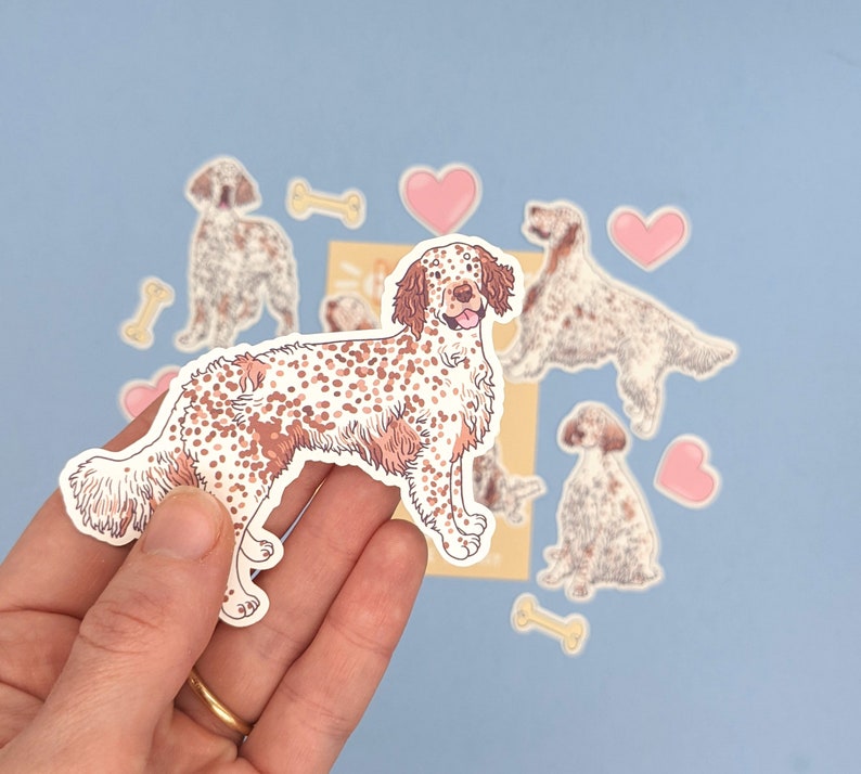 Pu&ograve; includere: Un set di adesivi con illustrazioni di cani Setter inglese in varie pose. Gli adesivi sono stampati su carta bianca e hanno una finitura lucida. Gli adesivi sono perfetti per aggiungere un tocco di fantasia a laptop, borracce, diari e altro ancora.