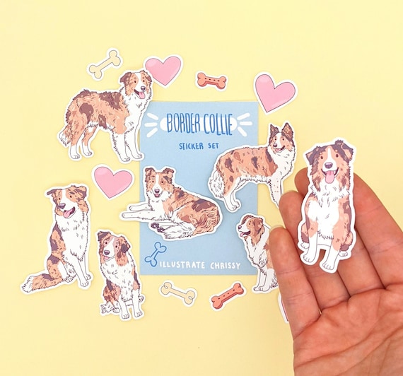 Cute dog border collie mexico cinco de mayo t shirt - Dog Border Collie  Mexico Cinco De Mayo - Sticker