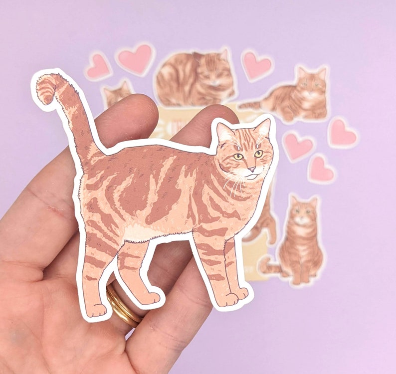 Short Hair Orange Tabby Cat Stickers Cat Sticker Set - Etsy