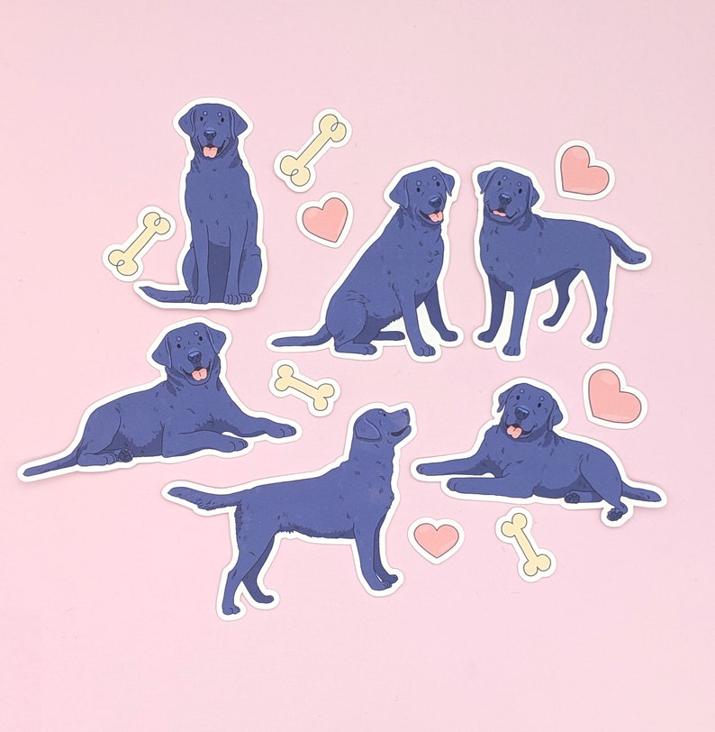 Pu&ograve; includere: Cinque illustrazioni di cani Labrador Retriever blu con cuori e ossa su uno sfondo rosa. I cani sono in varie pose, tra cui seduti, in piedi e sdraiati.