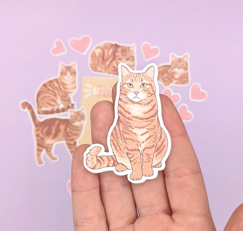 Short Hair Orange Tabby Cat Stickers - Cat Sticker Set - Etsy