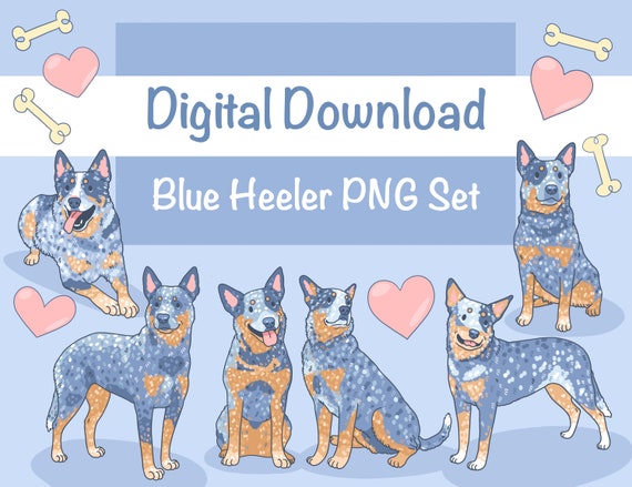 Blue Heeler Digital Download Clip Art Digital Stickers - Etsy