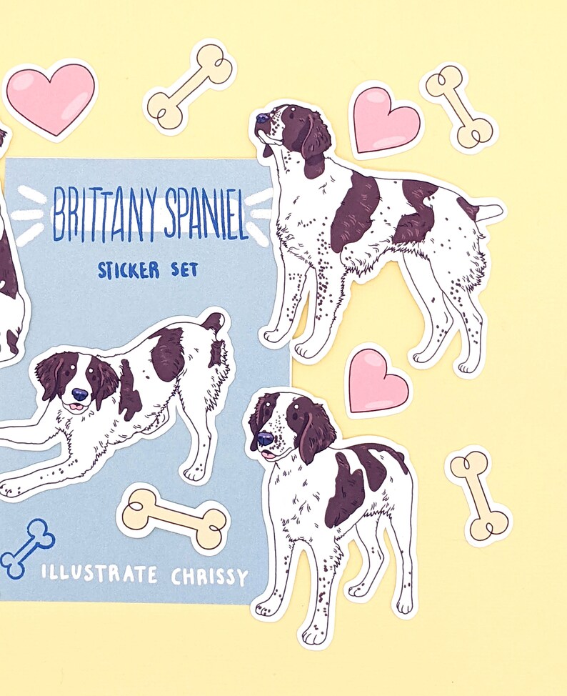 May include: A sticker set featuring illustrations of Brittany Spaniels in various poses. The stickers are on a light blue background with the text "Brittany Spaniel Sticker Set" and "Illustrate Chrissy". The stickers are surrounded by pink hearts and white bone-shaped stickers.