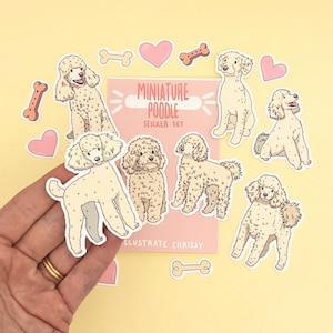 Cream Miniature Poodle Stickers - Cute Dog Sticker Set - Cream Mini Poodle