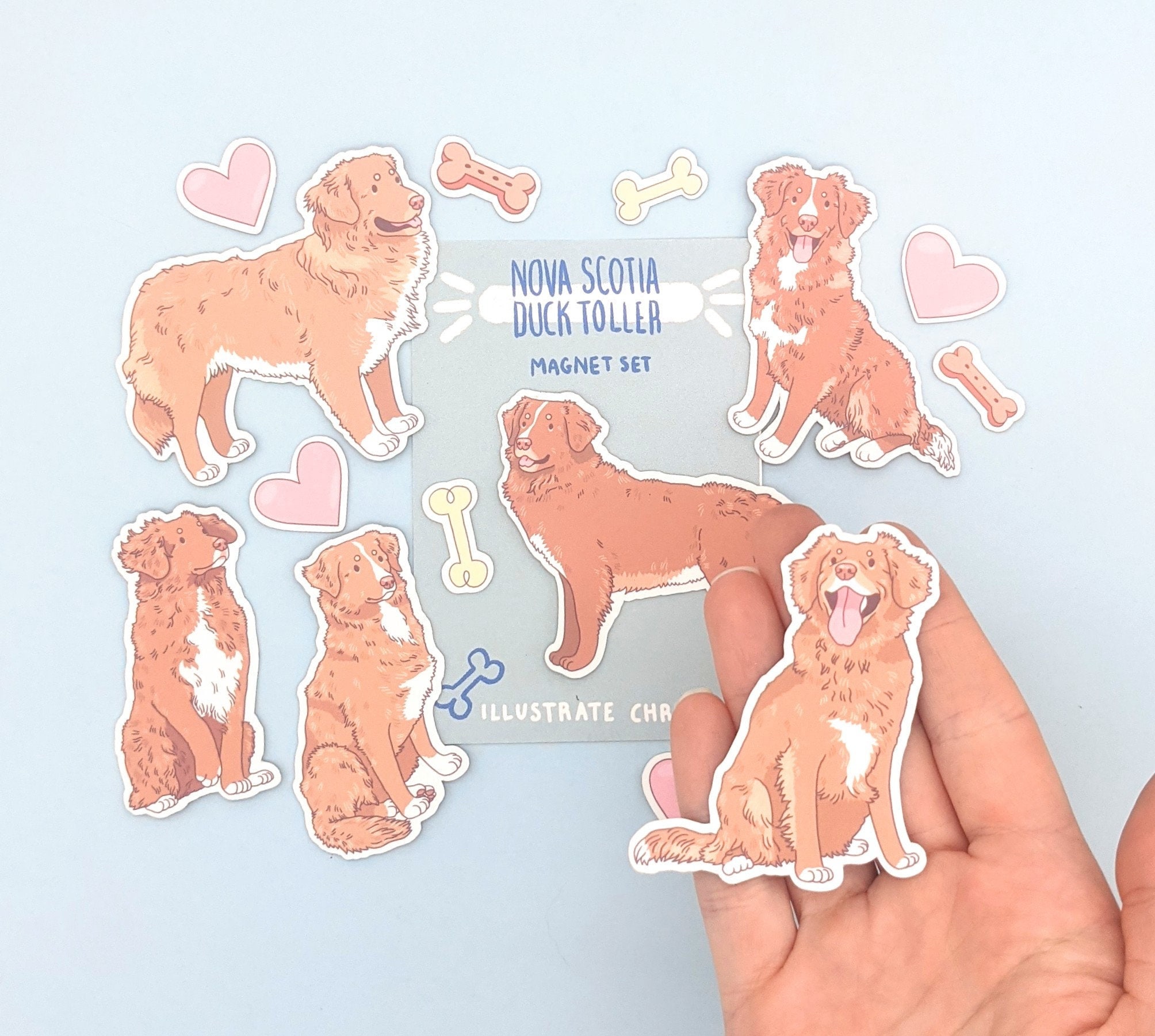 Nova Scotia Duck Tolling Retreiver Magnets - Refrigerator Magnets - Duck Toller Magnet Set