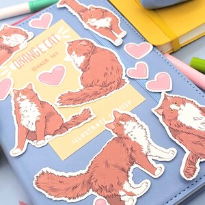 Langhaar Orange Katzen Aufkleber - Katzenaufkleber Set - Orange und Weiße Katze