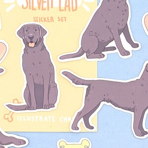 Pu&ograve; includere: Un set di adesivi con illustrazioni di un cane Silver Lab in varie pose. Gli adesivi sono in tonalit&agrave; di grigio e marrone, con le parole "SILVER LAB STICKER SET" stampate in arancione. &Egrave; incluso anche un adesivo a forma di osso.