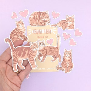 Short Hair Orange Tabby Cat Stickers - Cat Sticker Set - Etsy