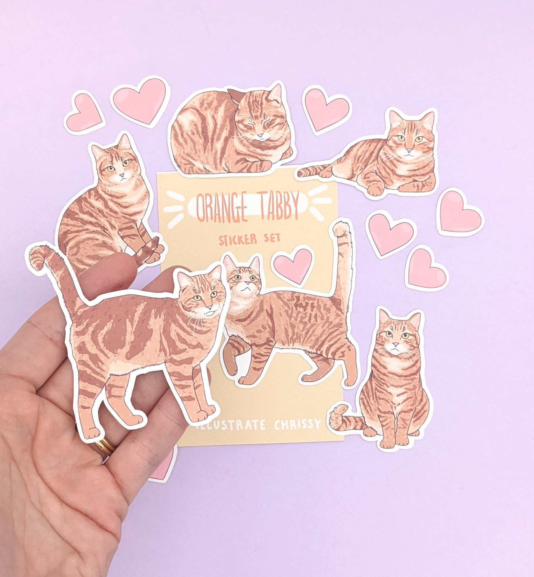 Short Hair Orange Tabby Cat Stickers - Cat Sticker Set - Etsy