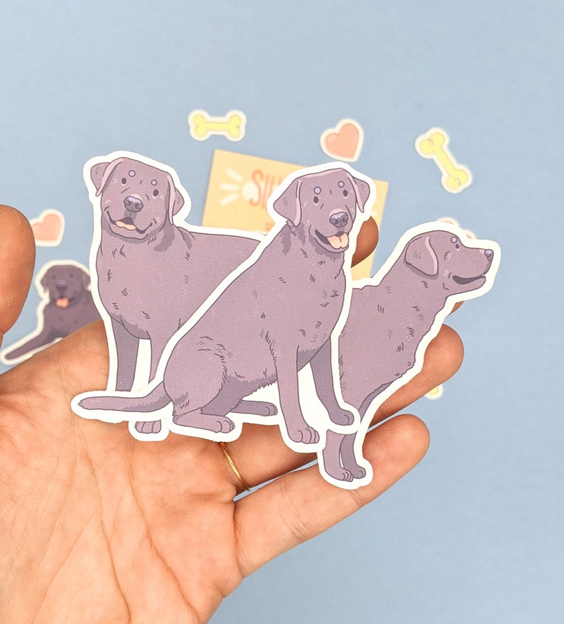Pu&ograve; includere: Una collezione di adesivi di Labrador Retriever viola in varie pose, tra cui seduto e in piedi. Gli adesivi sono circondati da piccoli adesivi a forma di cuore e osso, su uno sfondo azzurro.