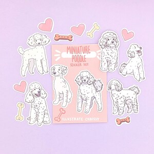 Op de afbeelding: Een stickerset met illustraties van miniatuurpoedels in verschillende poses. De sticker sheet heeft de tekst "Miniature Poodle Sticker Set" en "Illustrate Chrissy".