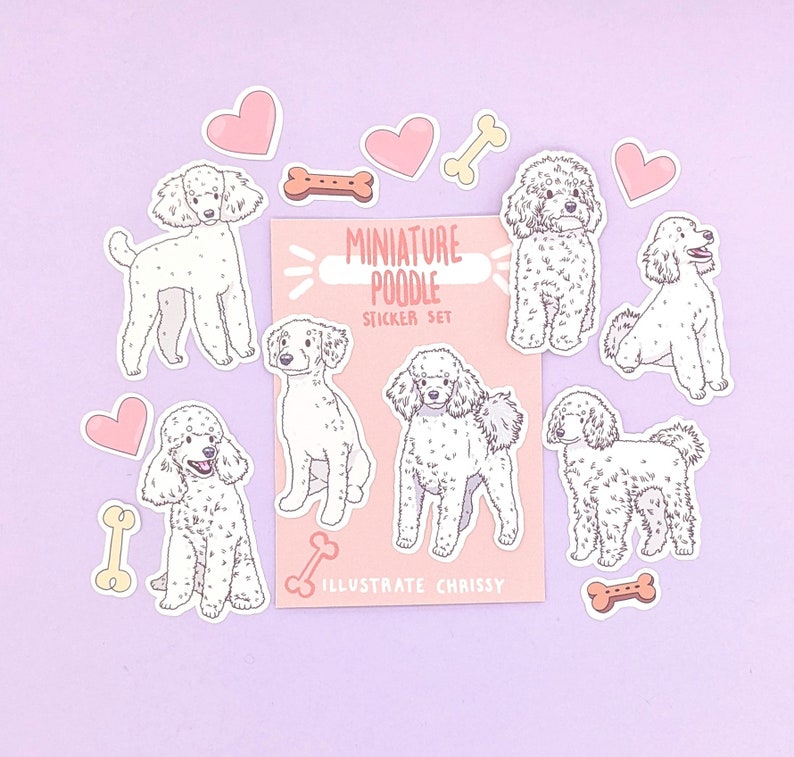 Op de afbeelding: Een stickerset met illustraties van miniatuurpoedels in verschillende poses. De sticker sheet heeft de tekst "Miniature Poodle Sticker Set" en "Illustrate Chrissy".