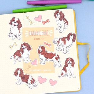 Adesivos à prova d'água Cavalier King Charles Spaniel - Conjunto de adesivos Blenheim CKC Spaniel