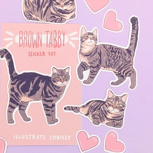 May include: A set of brown tabby cat stickers with hearts. The stickers feature a variety of poses, including a cat curled up, a cat standing, and a cat lying down. The stickers are perfect for adding a touch of whimsy to your laptop, water bottle, or planner. The sticker sheet also includes the text "Brown Tabby Sticker Set" and "Illustrate Chrissy".