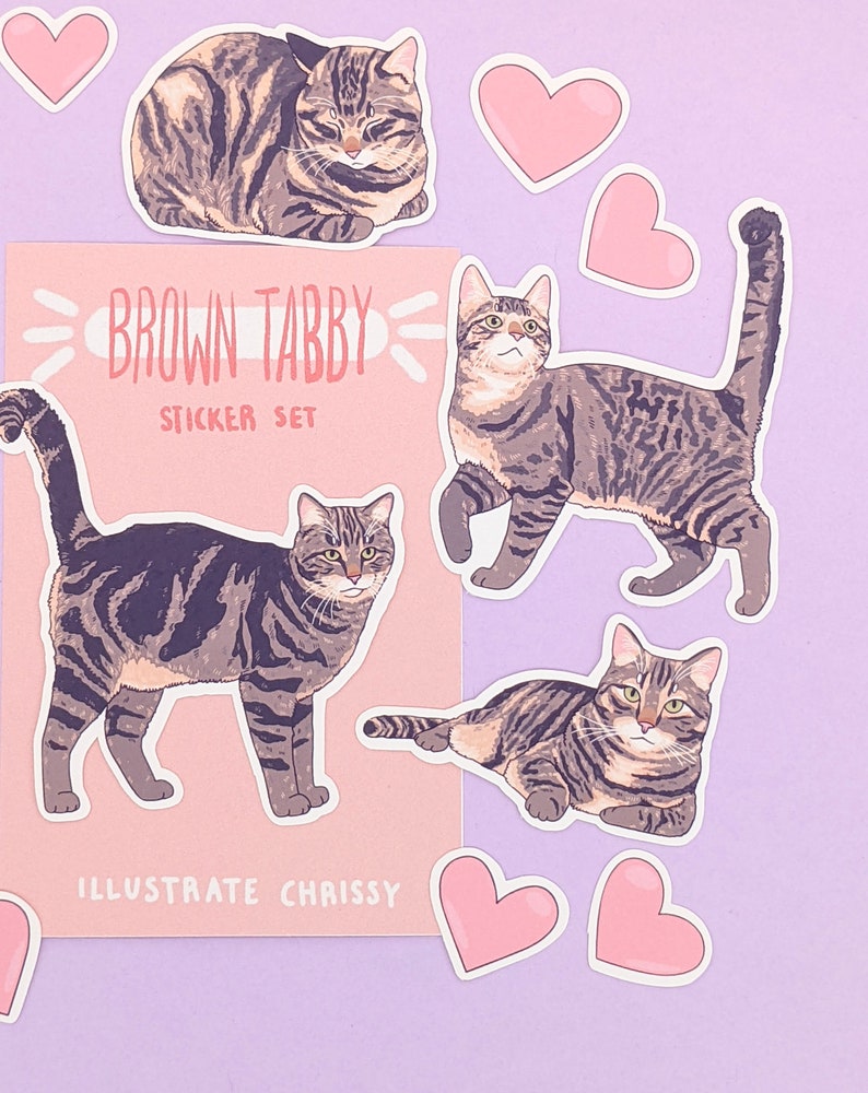 May include: A set of brown tabby cat stickers with hearts. The stickers feature a variety of poses, including a cat curled up, a cat standing, and a cat lying down. The stickers are perfect for adding a touch of whimsy to your laptop, water bottle, or planner. The sticker sheet also includes the text "Brown Tabby Sticker Set" and "Illustrate Chrissy".