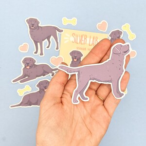Pu&ograve; includere: Un set di adesivi Labrador argentati, incluso un adesivo tenuto in mano. Gli adesivi presentano illustrazioni di Labrador argentati in varie pose, insieme ad accenti a forma di cuore e osso. Il testo "Silver Lab Sticker Set" &egrave; visibile.