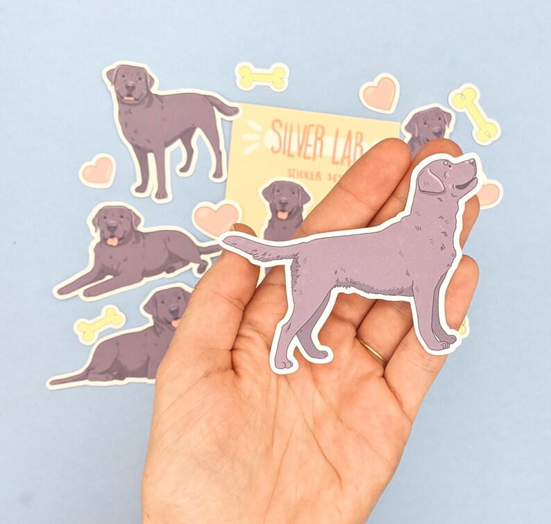 Pu&ograve; includere: Un set di adesivi Labrador argentati, incluso un adesivo tenuto in mano. Gli adesivi presentano illustrazioni di Labrador argentati in varie pose, insieme ad accenti a forma di cuore e osso. Il testo "Silver Lab Sticker Set" &egrave; visibile.