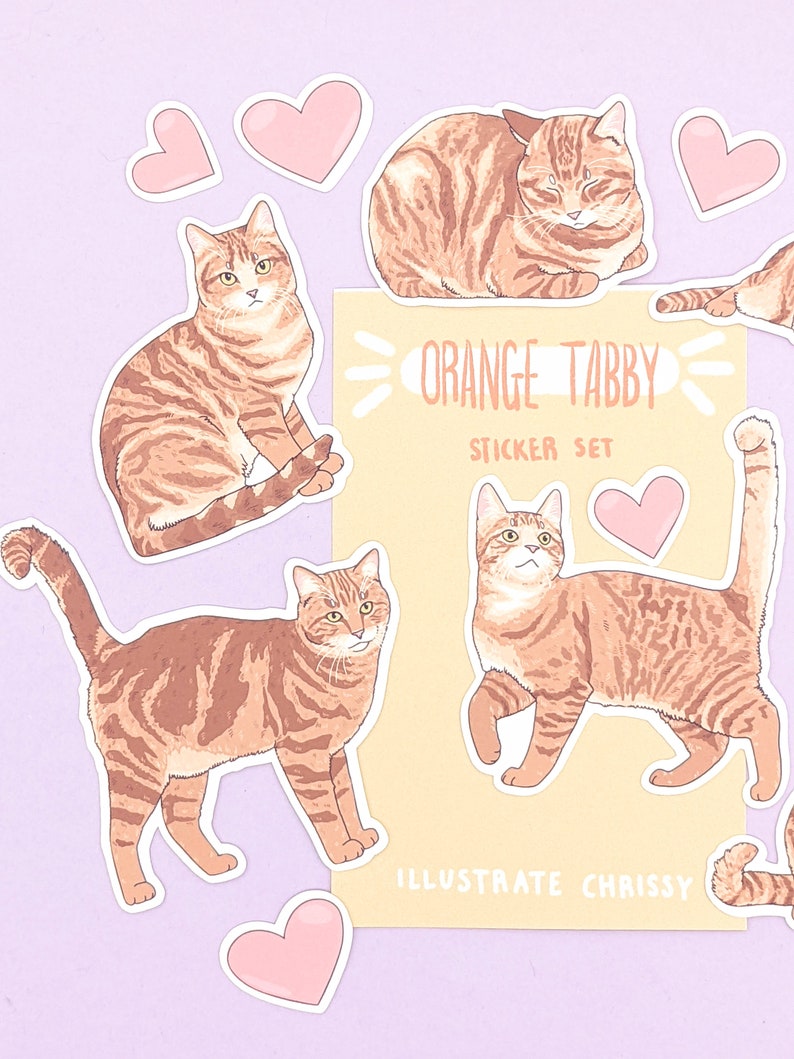 Short Hair Orange Tabby Cat Stickers - Cat Sticker Set - Etsy