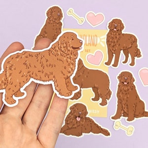 Bruine Newfoundland-stickers, waterdicht