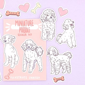 Op de afbeelding: Een set van vijf witte miniatuurpoedel stickers op een roze achtergrond. De stickers tonen verschillende poses van de poedels, waaronder zittend, staand en lopend. De tekst "Miniature Poodle Sticker Set" en "Illustrate Chrissy" is gedrukt op de roze achtergrond.