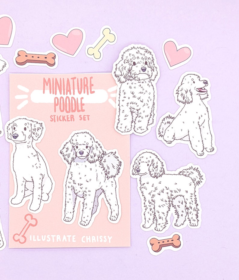 Op de afbeelding: Een set van vijf witte miniatuurpoedel stickers op een roze achtergrond. De stickers tonen verschillende poses van de poedels, waaronder zittend, staand en lopend. De tekst "Miniature Poodle Sticker Set" en "Illustrate Chrissy" is gedrukt op de roze achtergrond.