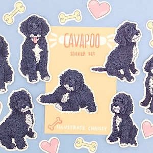 Op de afbeelding: Een set van 9 stickers met zwart-wit illustraties van Cavapoo-honden in verschillende poses. De stickers zijn op een lichtblauwe achtergrond met roze harten en botvormige stickers. De tekst "Cavapoo Sticker Set" staat op een gele achtergrond.