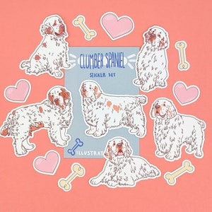 Clumber Spaniel Aufkleber - Wasserdichter Aufkleber Set