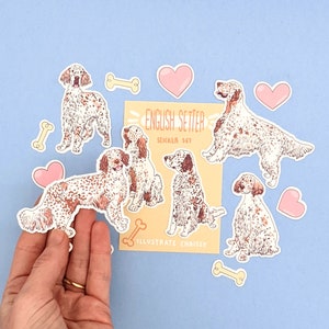 Pu&ograve; includere: Un set di 10 adesivi di cani Setter inglese che mostrano varie pose e un design a forma di osso. Gli adesivi sono su uno sfondo bianco con un cuore rosa e un osso giallo. Il testo "English Setter Sticker Set" &egrave; stampato sul foglio di adesivi.