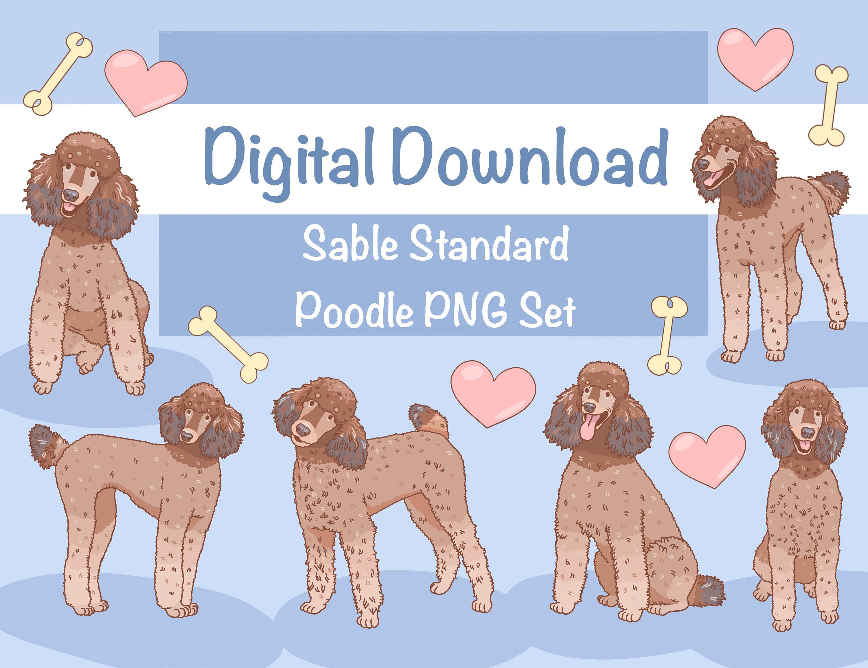 Sable Standard Poodle Digital Download Clip Art Digital - Etsy Denmark