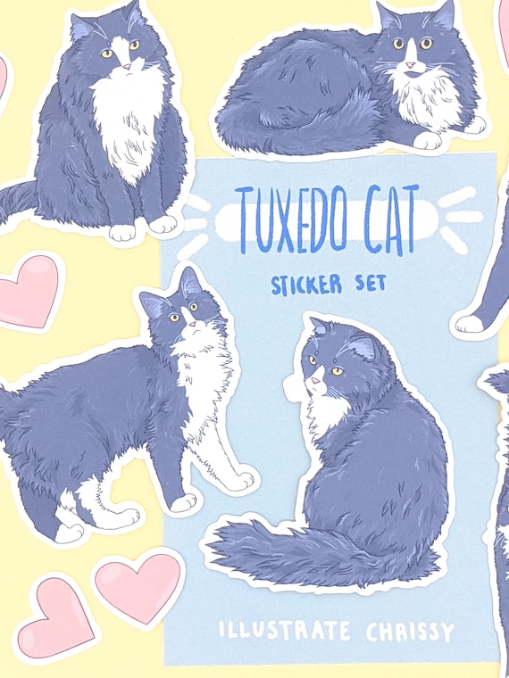 Long Hair Gray Tuxedo Cat Stickers Cat Sticker Set - Etsy
