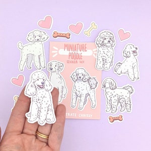 Op de afbeelding: Een stickerset met illustraties van miniatuurpoedels in verschillende poses. De stickers zijn op een roze achtergrond met de tekst "Miniature Poodle Sticker Set" en de woorden "Illustrate Chrissy".