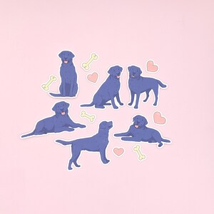 Pu&ograve; includere: Sei adesivi di cani Labrador Retriever viola con adesivi di ossa gialle e cuori rosa su uno sfondo rosa.