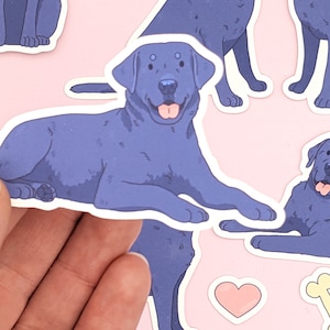 Pu&ograve; includere: Un set di cinque adesivi di cani Labrador Retriever blu con cuori rosa. Gli adesivi sono su uno sfondo rosa.