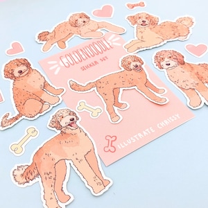 Stickers Goldendoodle abricot - Set de stickers chien - Golden Retriever x Caniche