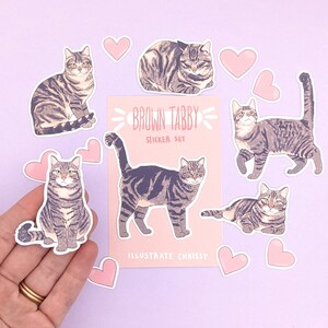 May include: A sticker set featuring nine brown tabby cats in various poses. The stickers are on a pink background with the text "Brown Tabby Sticker Set" and "Illustrate Chrissy".