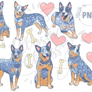 Blue Heeler Digital Download Clip Art Digital Stickers - Etsy