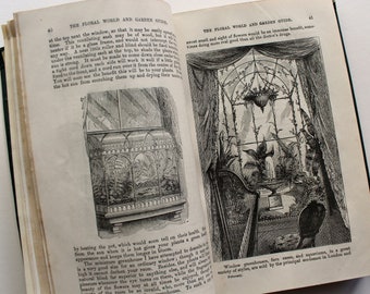 Antique Botany Book - THE FLORAL WORLD by Shirley Hibberd - Horticulture Book - Gardening Reference - Victorian Book