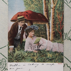 Miłośnicy grzybów III