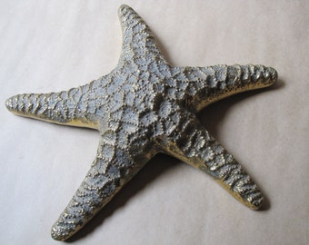 Starfish Miniature Brass Figurines Pack of 6 by SPI Home BP15674 