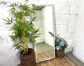 Artículos de esta tienda