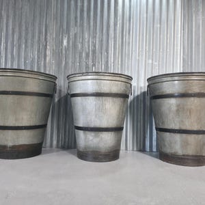 May include: Three galvanised metal buckets with dark bands and handles. The buckets have a tapered shape and a weathered appearance, suggesting they are vintage or antique. They are arranged in a row against a corrugated metal background.