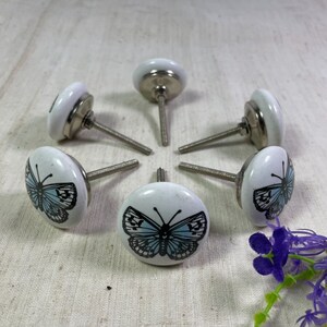 May include: Six white ceramic cabinet knobs with a silver metal screw. Each knob features a blue butterfly design.