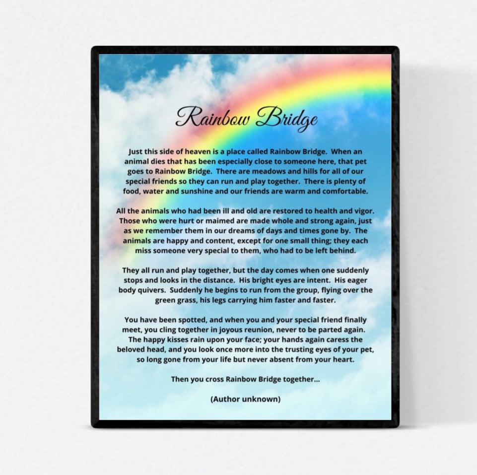 Rainbow Bridge For Loss Of A Pet 8x10 Unframed Art Print Etsy